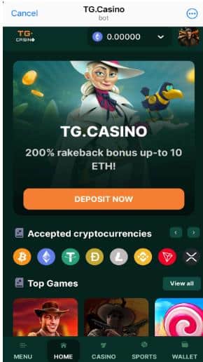 TG Casino App