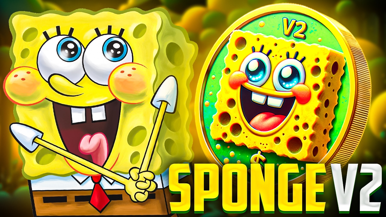 sponge-v2
